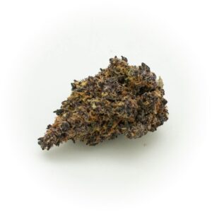 Purple Thai strain OG Distribution