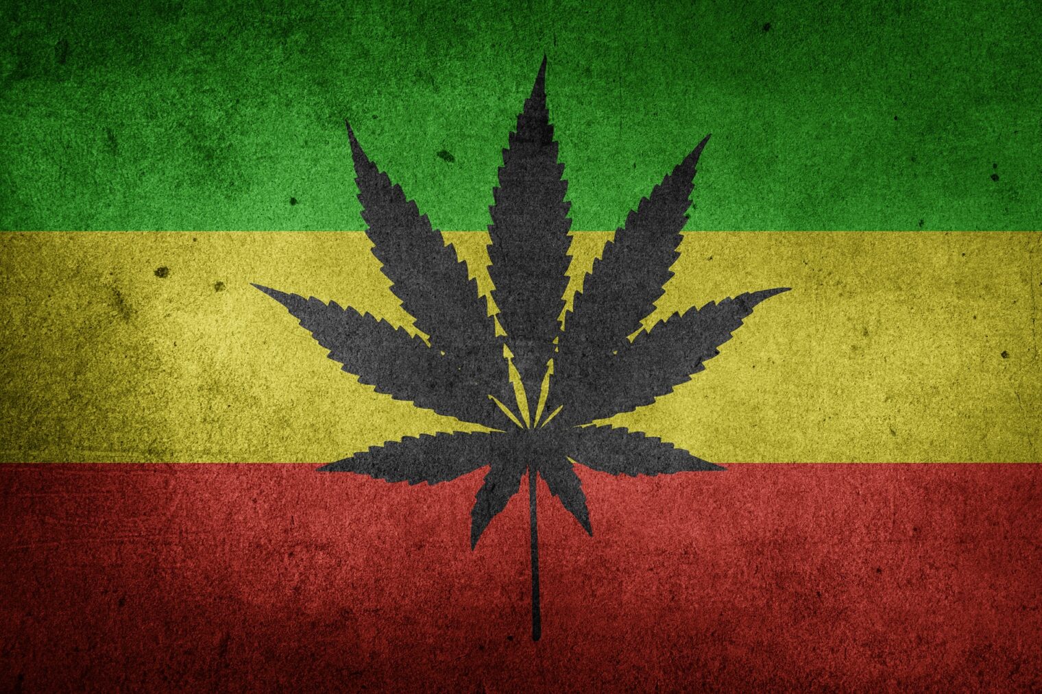 cannabis advocacy groups in Bangkok in 2024